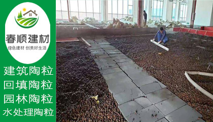 江西濾料廠家供應(yīng)水處理沉水生物陶粒 輕質(zhì)粘土陶?！?></a></div>
                    <div   id=