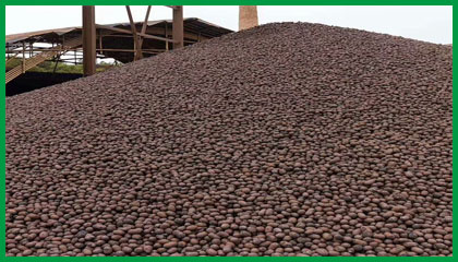 陶?；靥?建筑陶粒 供應(yīng)保溫1-3公分衛(wèi)生間陶粒，回填陶粒